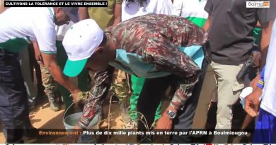 Plus de dix mille plants mis en terre par l’APRN à Boulmiougou